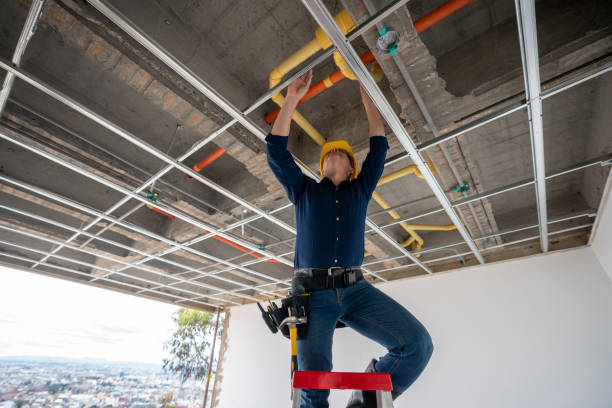 Best Emergency Plumber  in Louisville, TN